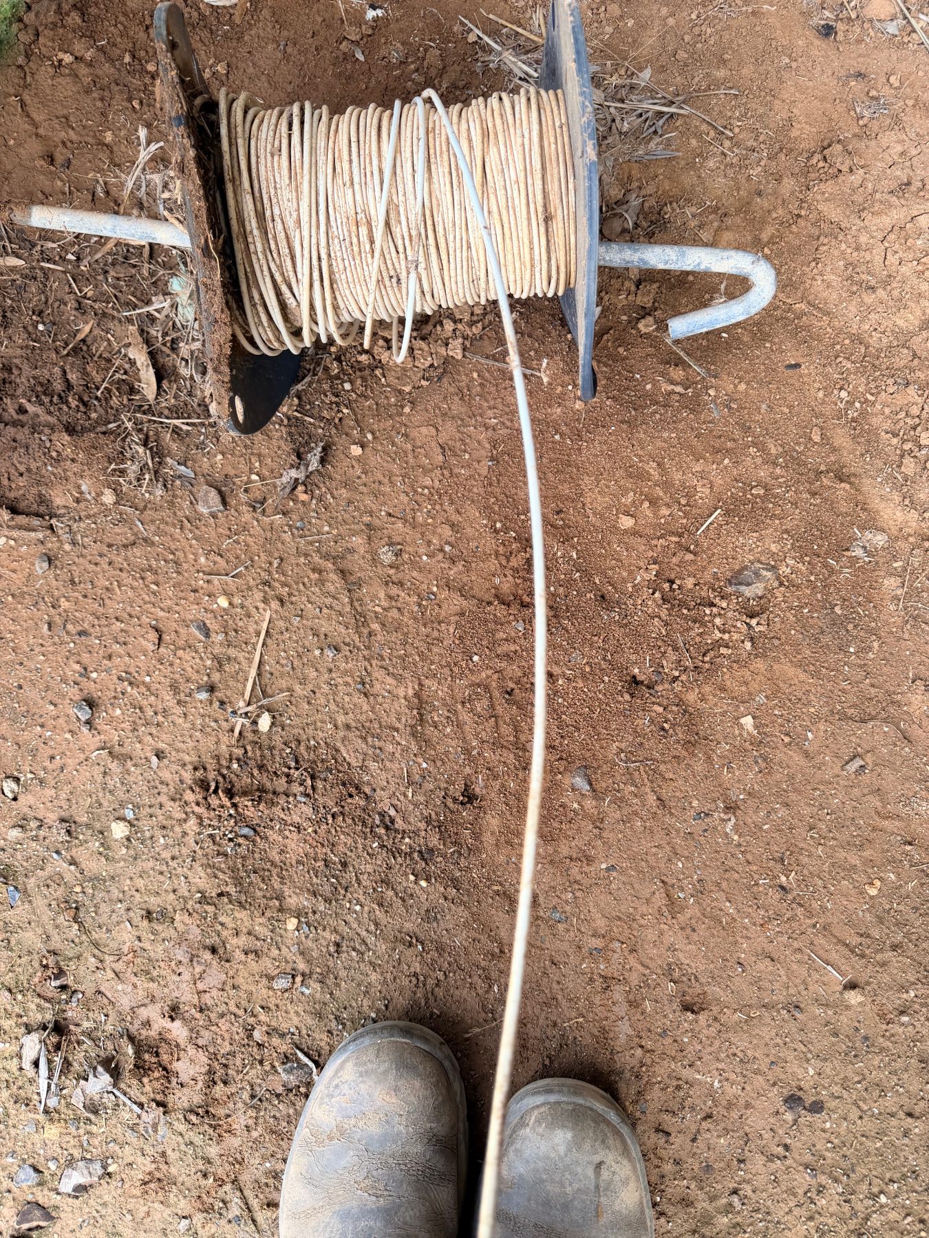 Horse sight wire - photo 2