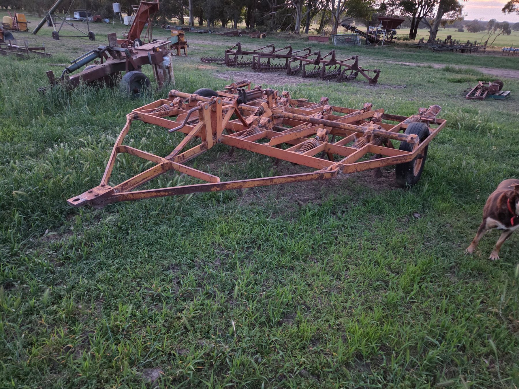 Used - Chamberlain 19 Tyne Scarifier - photo 4