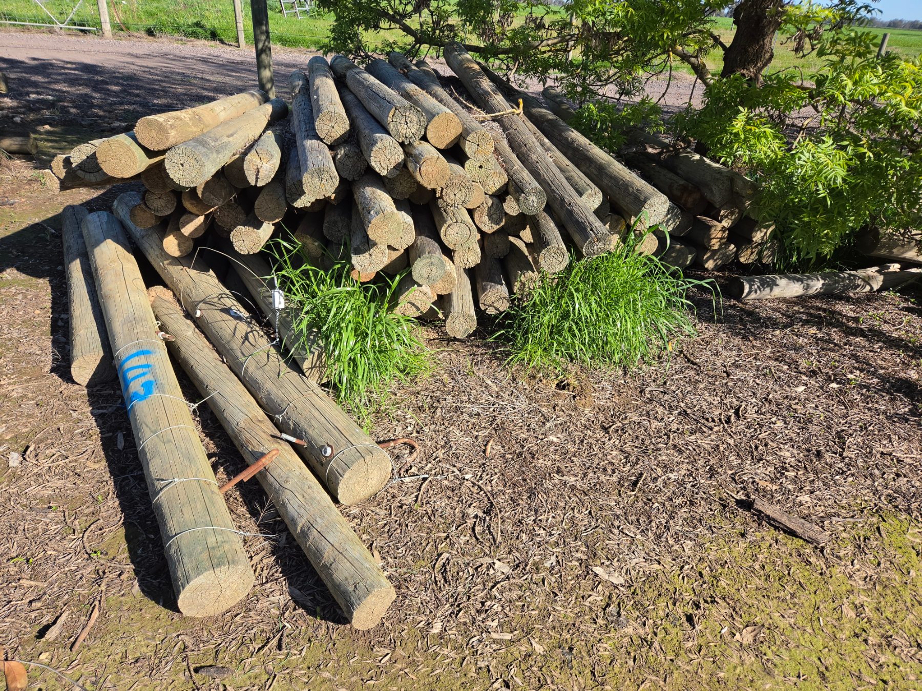 143x Assorted Pine Fence Posts - photo 2