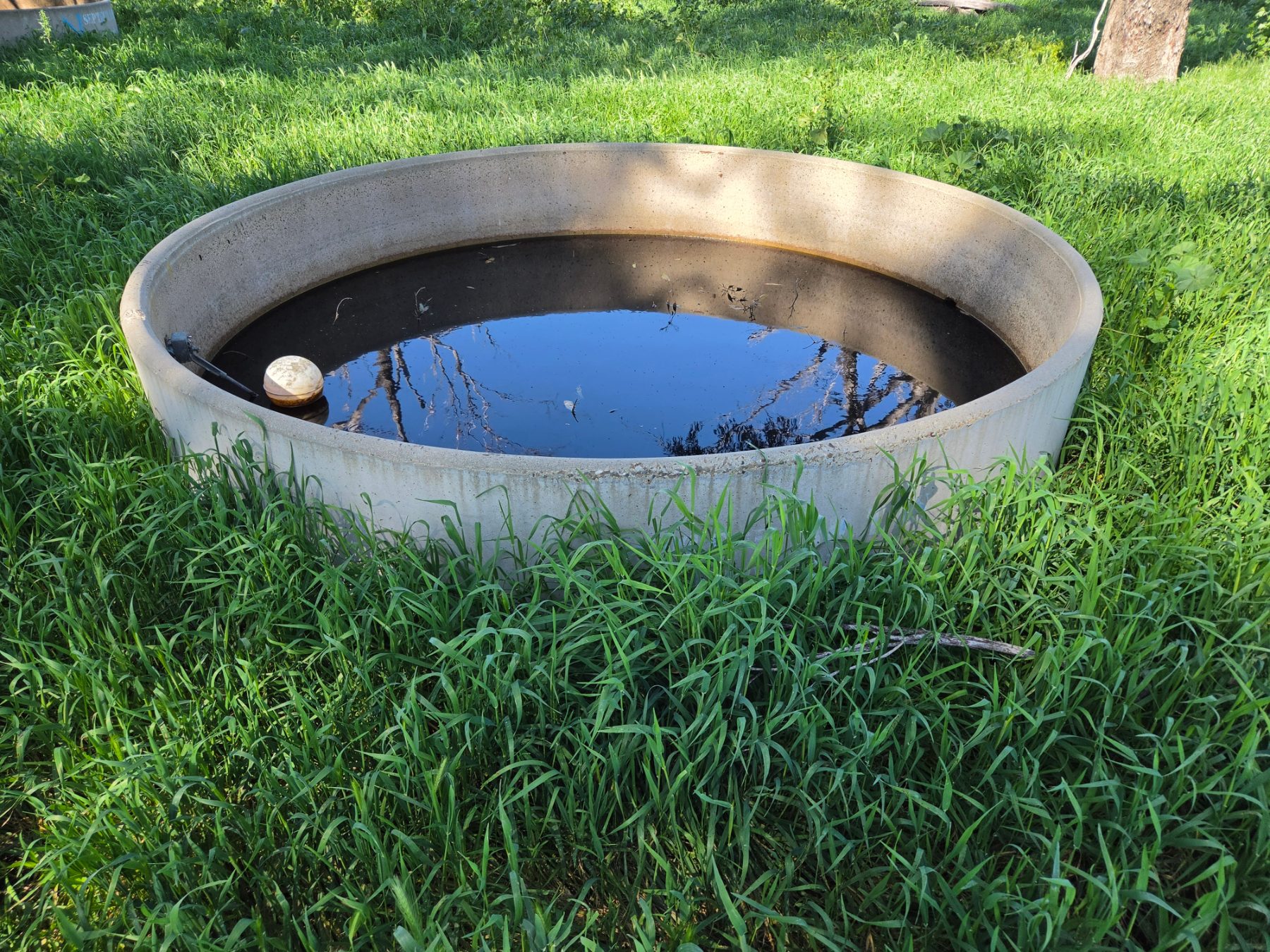 Septec 10ft Trough with Ball Valve (W) - photo 3