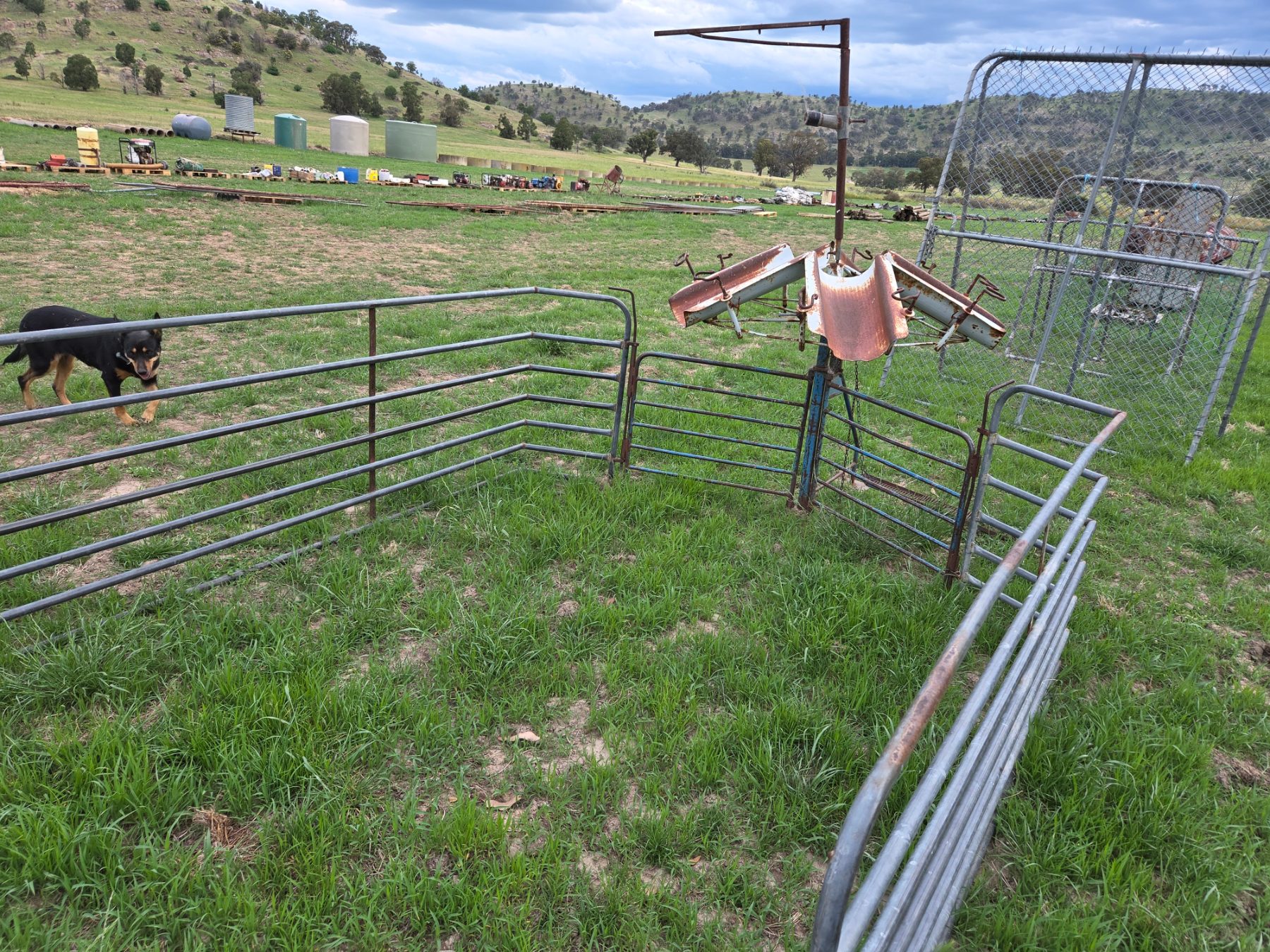 Used - Lambmarking Cradle with Catching Pen - photo 3
