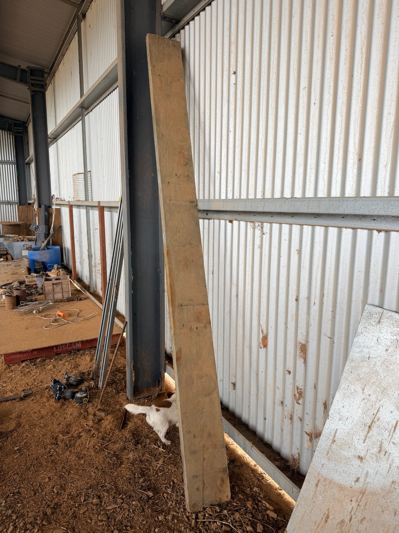 3m x 240mm x 45mm timber beam - photo 1