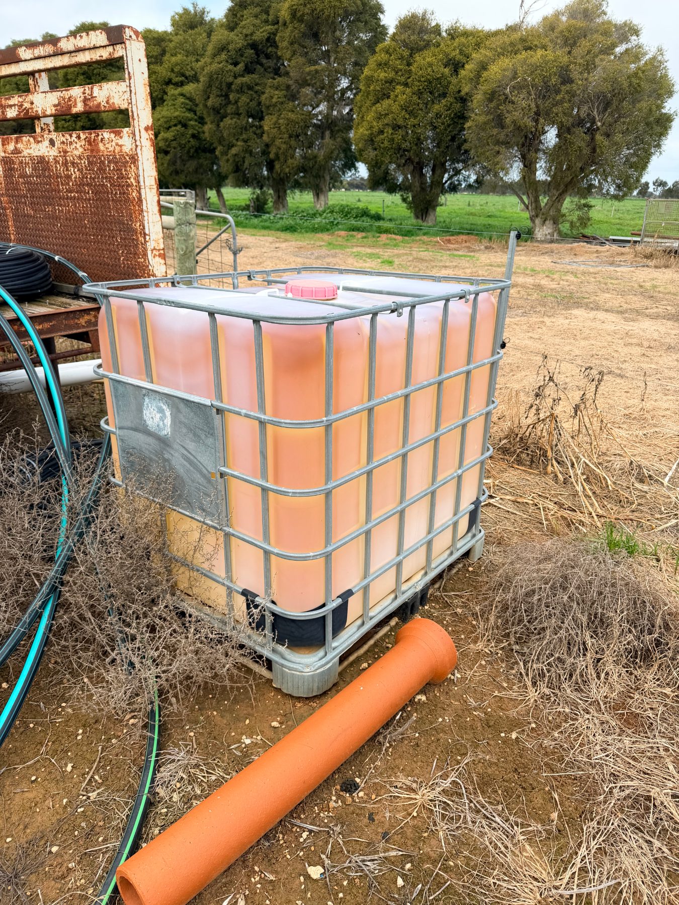 1000L IBC - photo 2