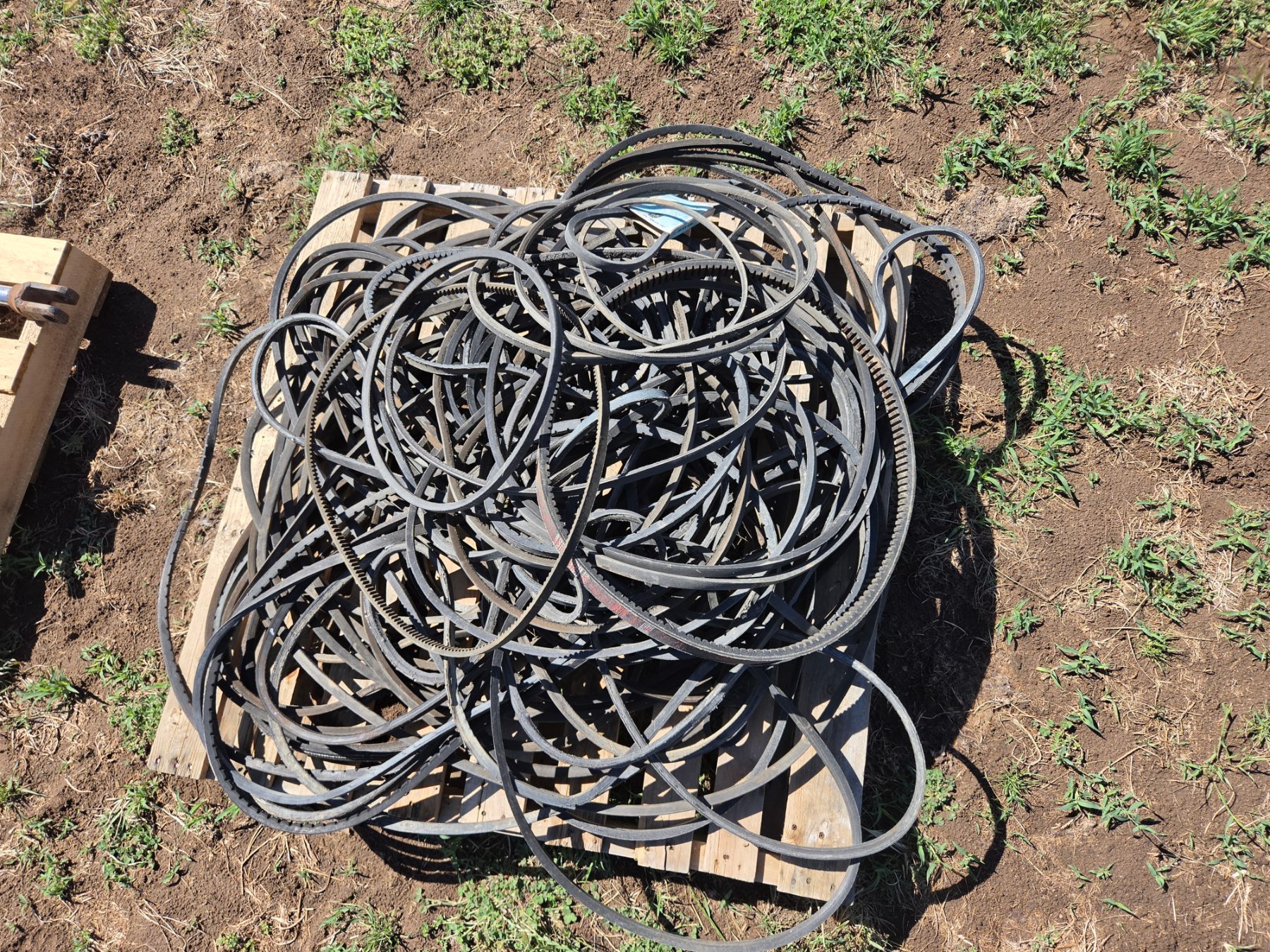 Used - Assorted A-Section V-Belts - photo 3