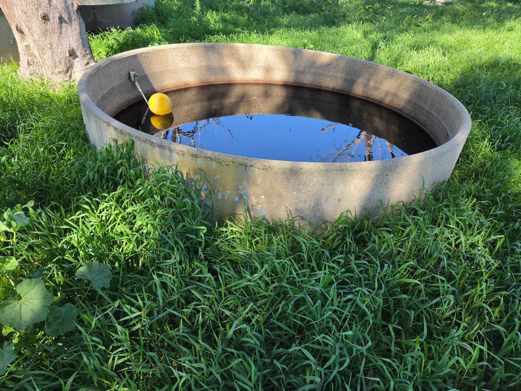 Septec 10ft Trough with Ball Valve (X) - photo 3