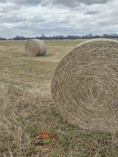 56 Rolls of 5x4 Oaten Hay ($/roll) - photo 1