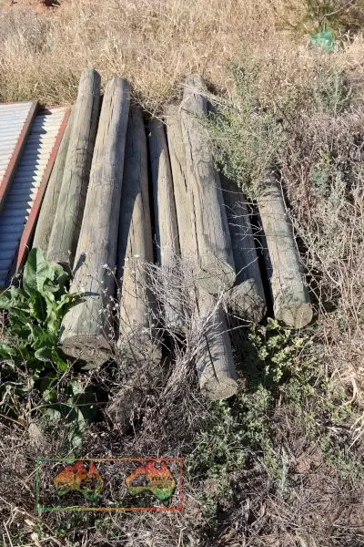 30+ Pine Posts - photo 3