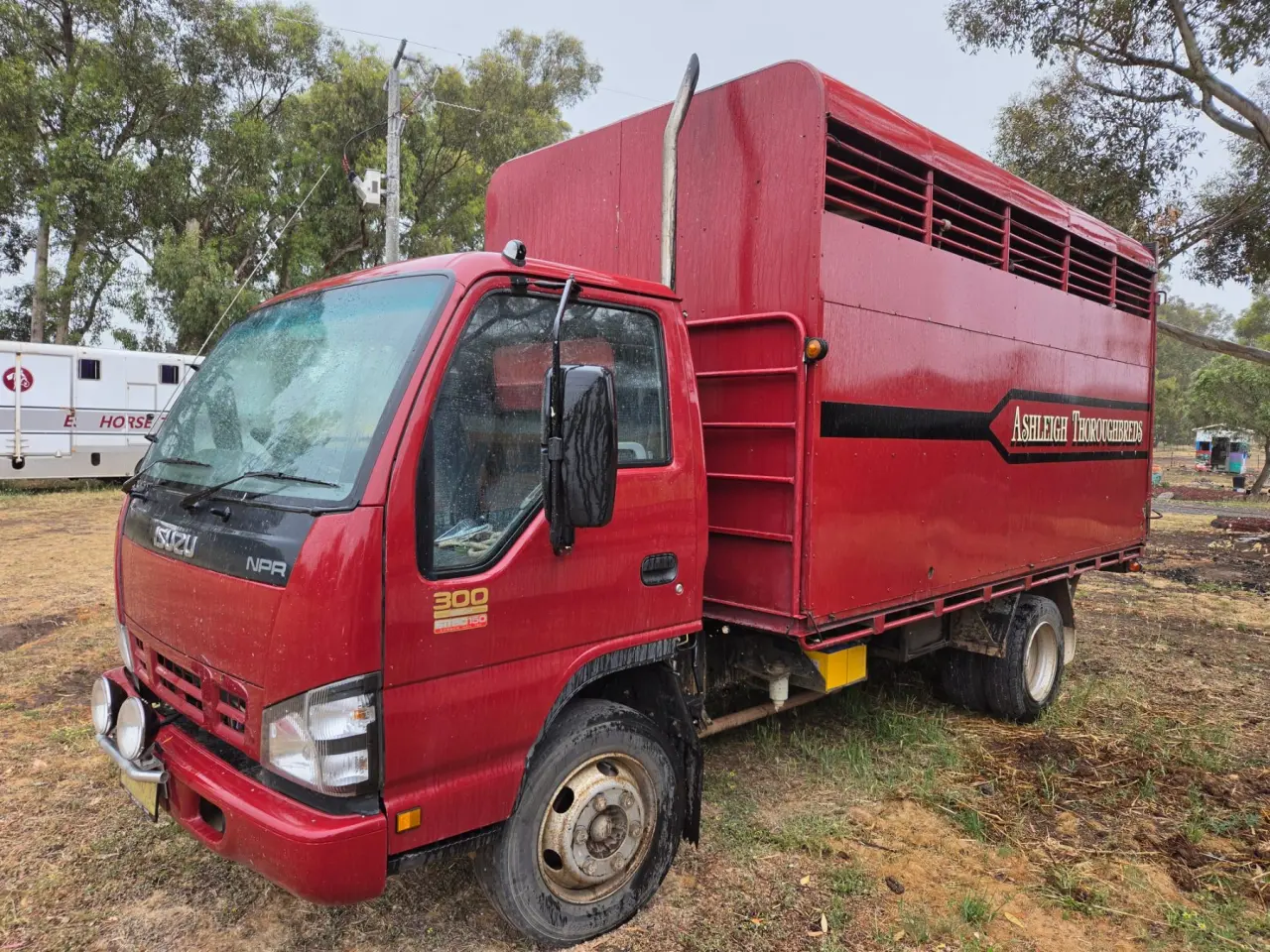 Used - 2005 Isuzu NPR 300 Horse Truck - photo 3