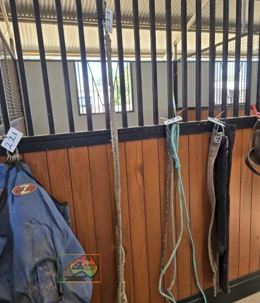 2x Lead Ropes - photo 2