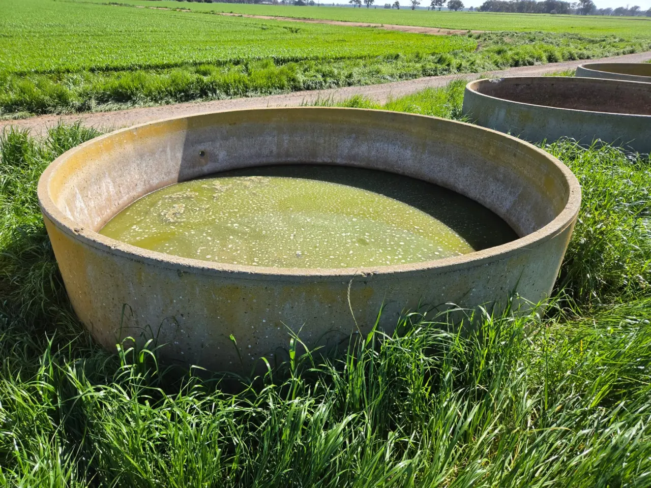 10ft Stock Trough (E) - photo 2