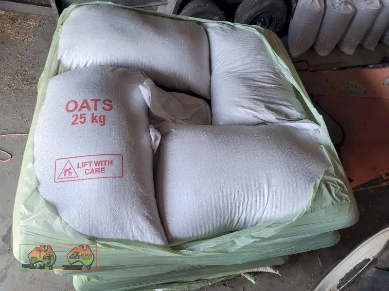 Winteroo Seed Oats (25x 25Kg Bags) - ($/bag) - photo 3