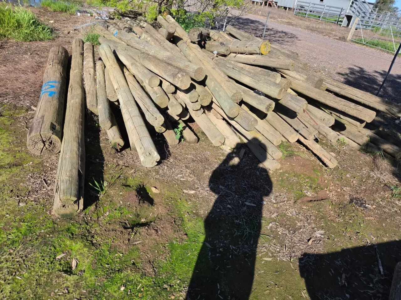 105x Assorted Pine Fence Posts - photo 3