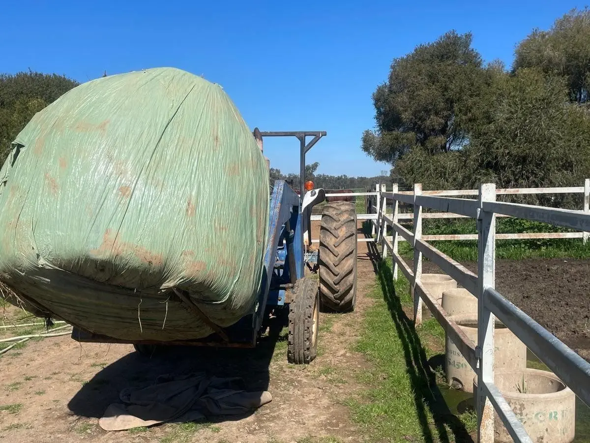 Ford 4000 2WD Tractor with FEL - photo 4