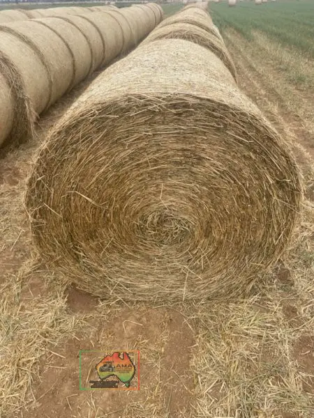 Rolls of Pure Lucerne Hay ($/Bale) - photo 1