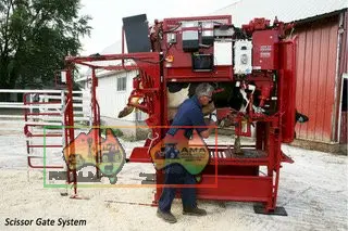 New - Hydraulic Hoof Trimming Chute HS - ( Location Leppington NSW 2179 ) - photo 3