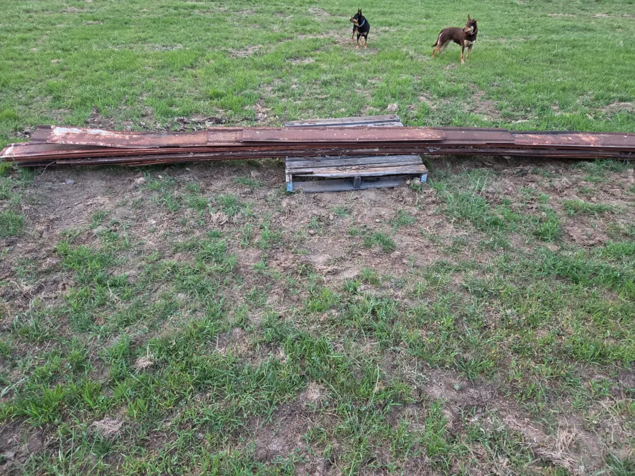 Used - Steel Stockyard Rails - photo 2