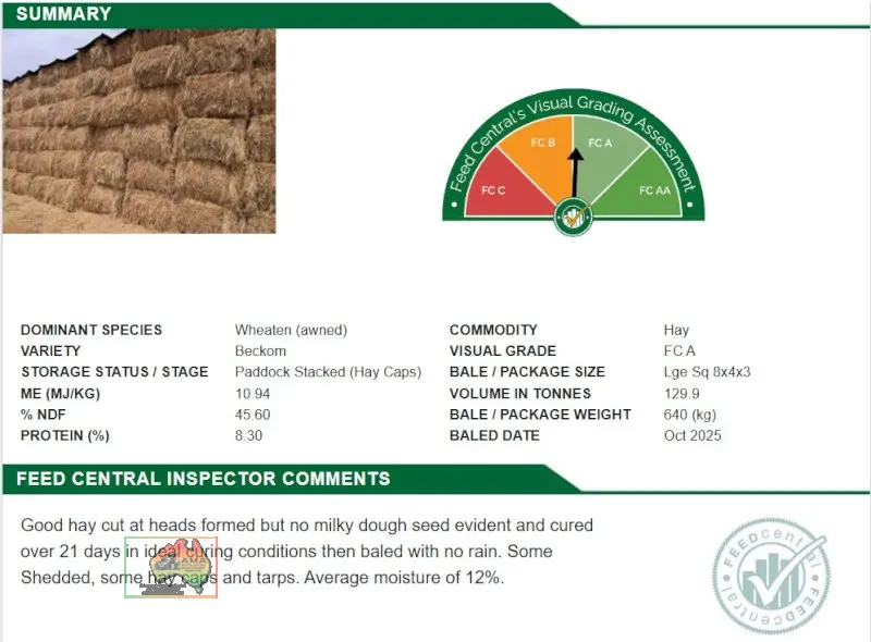 8x4x3 Bales of Quality Wheaten Hay. - photo 5
