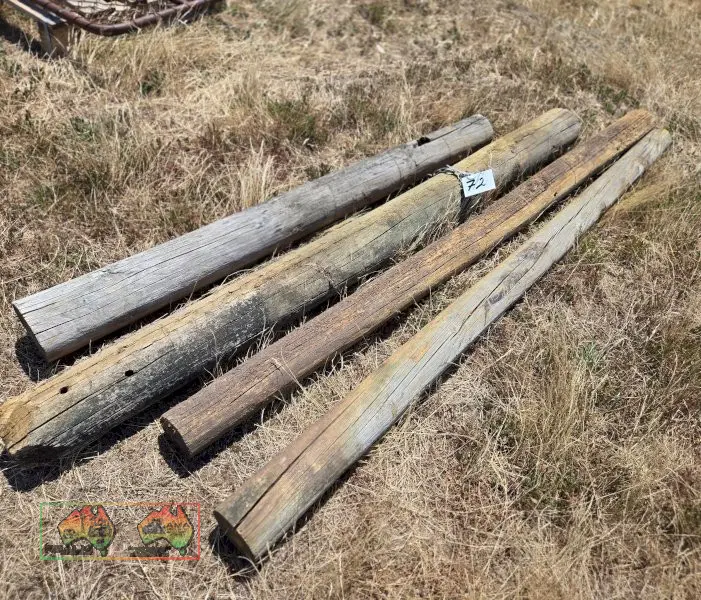 Pine Posts - photo 1