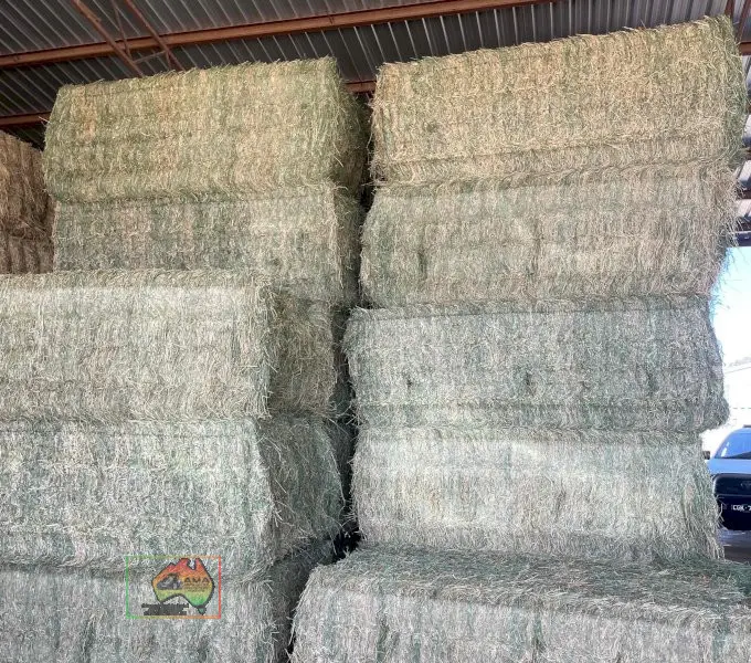 Quality 3rd Cut Irrigated Lucerne ($/bale) - photo 1