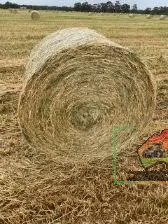 Rolls of Pure Oaten Hay ($/Bale) - photo 2