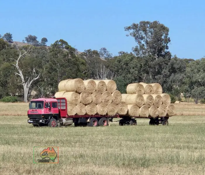 Rolls of Rye & Barley Hay ($/Roll) - photo 1