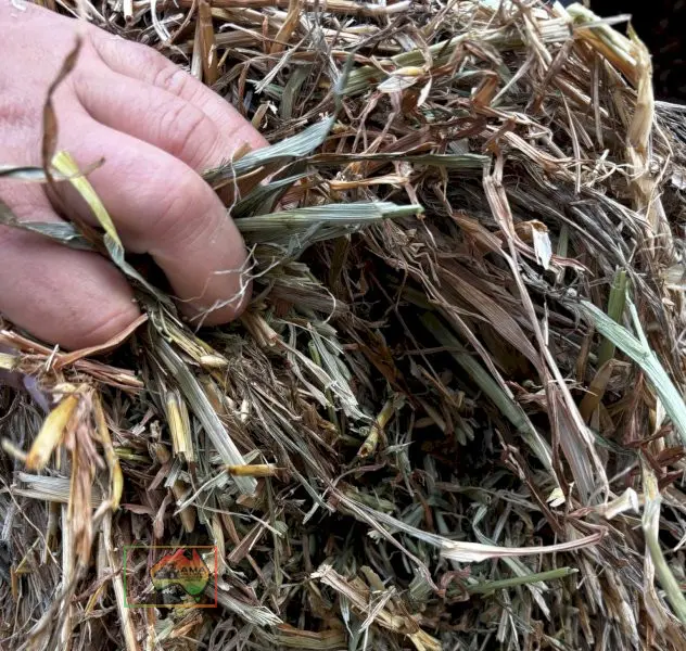 61 Bales of 8x4x3 Oaten Hay ($/Bale) - photo 1