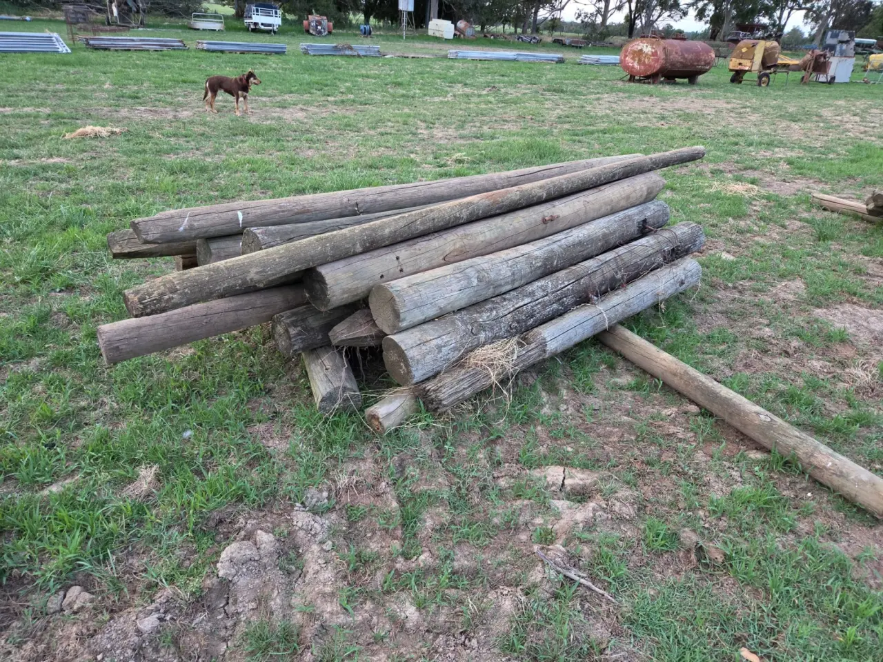 Used - x Assorted Pine Posts - photo 2