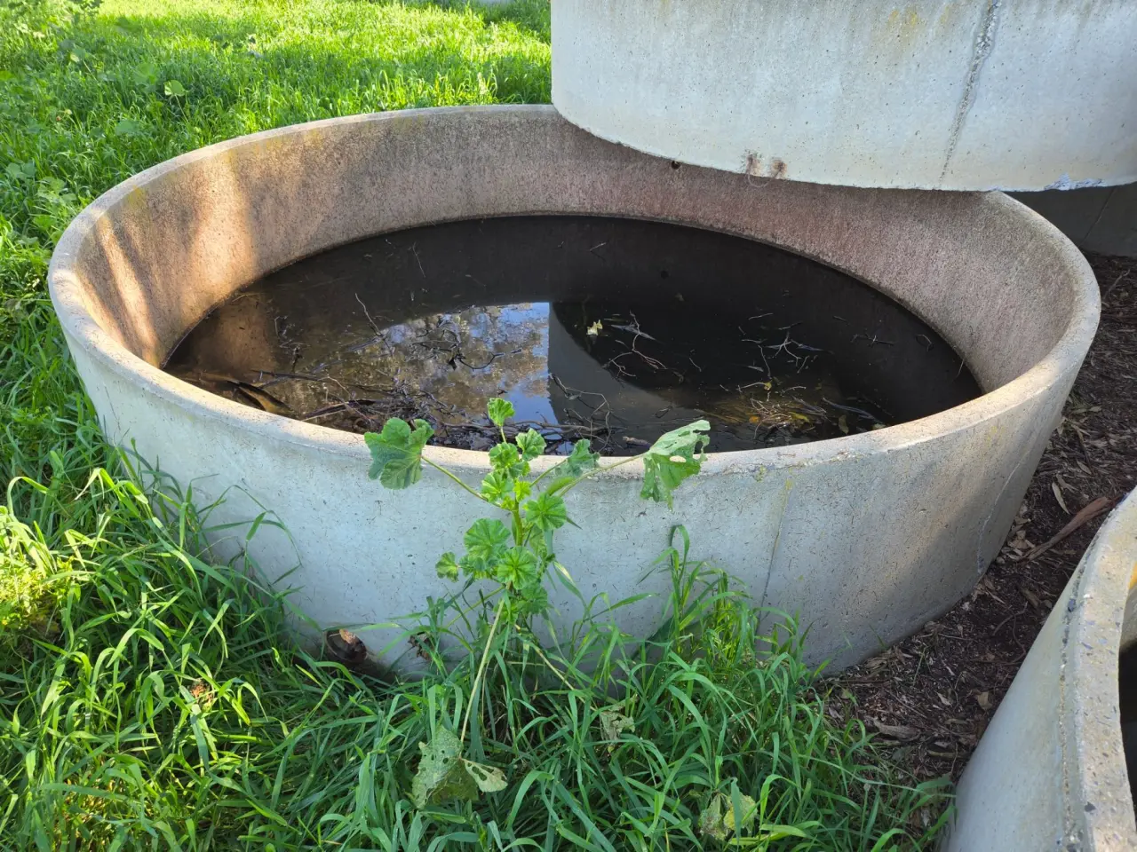 Septec 10ft Stock Trough (Y) - photo 2
