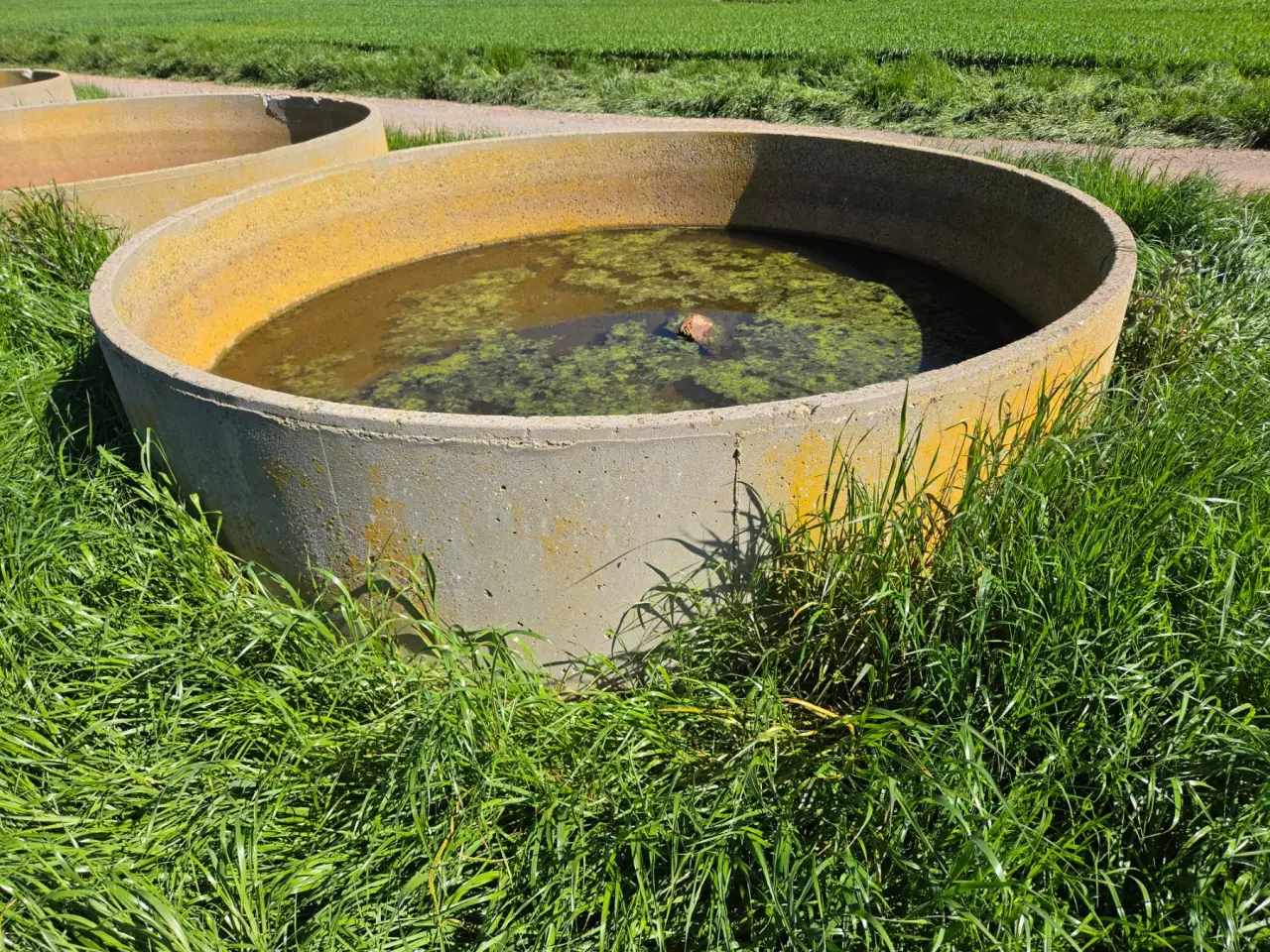 10ft Stock Trough (I) - photo 3