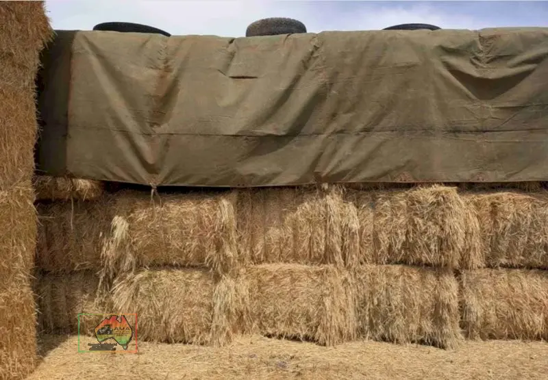 8x4x3 Bales of Quality Wheaten Hay. - photo 2