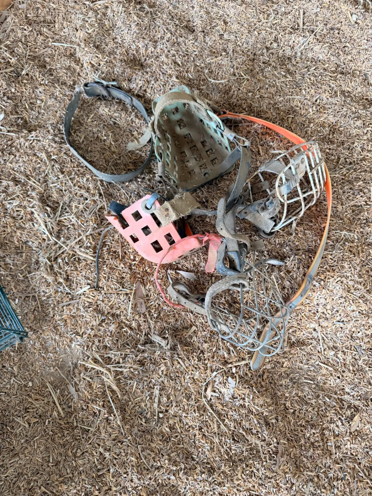 Dog muzzles - photo 1