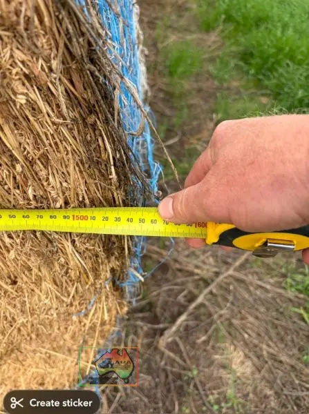 20 Rolls of 5x4 Pure Lucerne Hay ($/roll) - photo 4