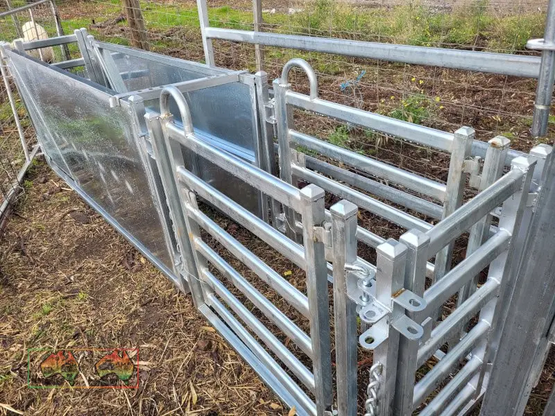 Sheep Race with 3 Way Draft (New Un-used) - photo 4