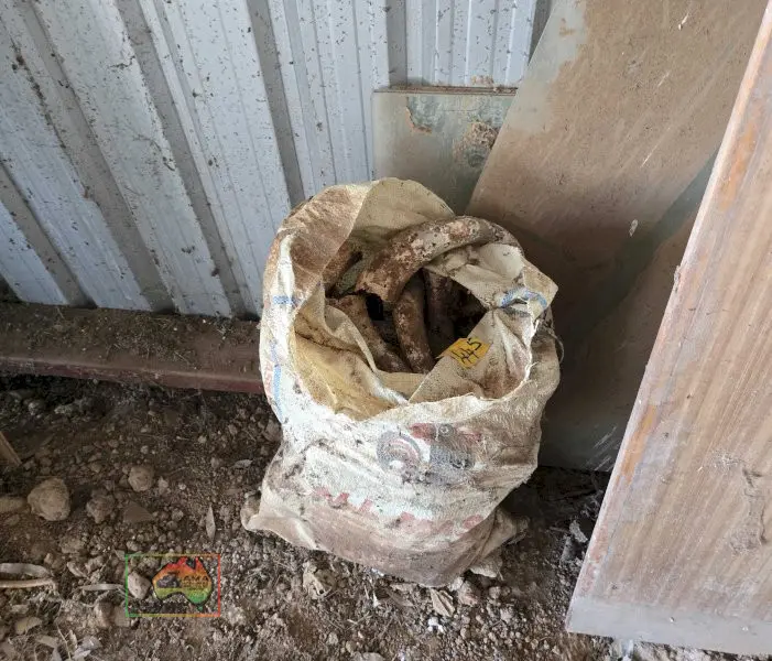 Bag of Cow Horns - photo 1