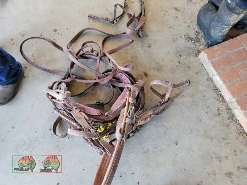Sulky Harness (No.1) - photo 3