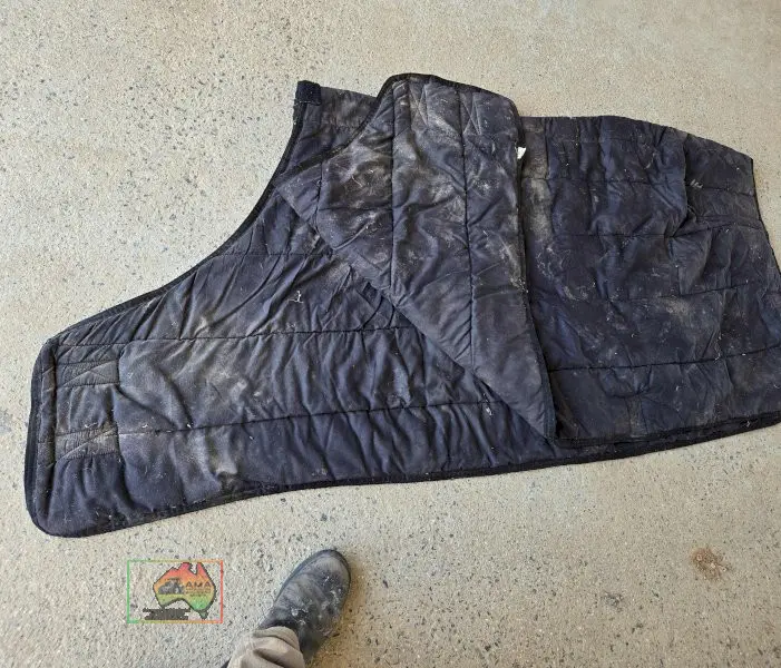 Under Doona-Rug 5-6 - photo 3