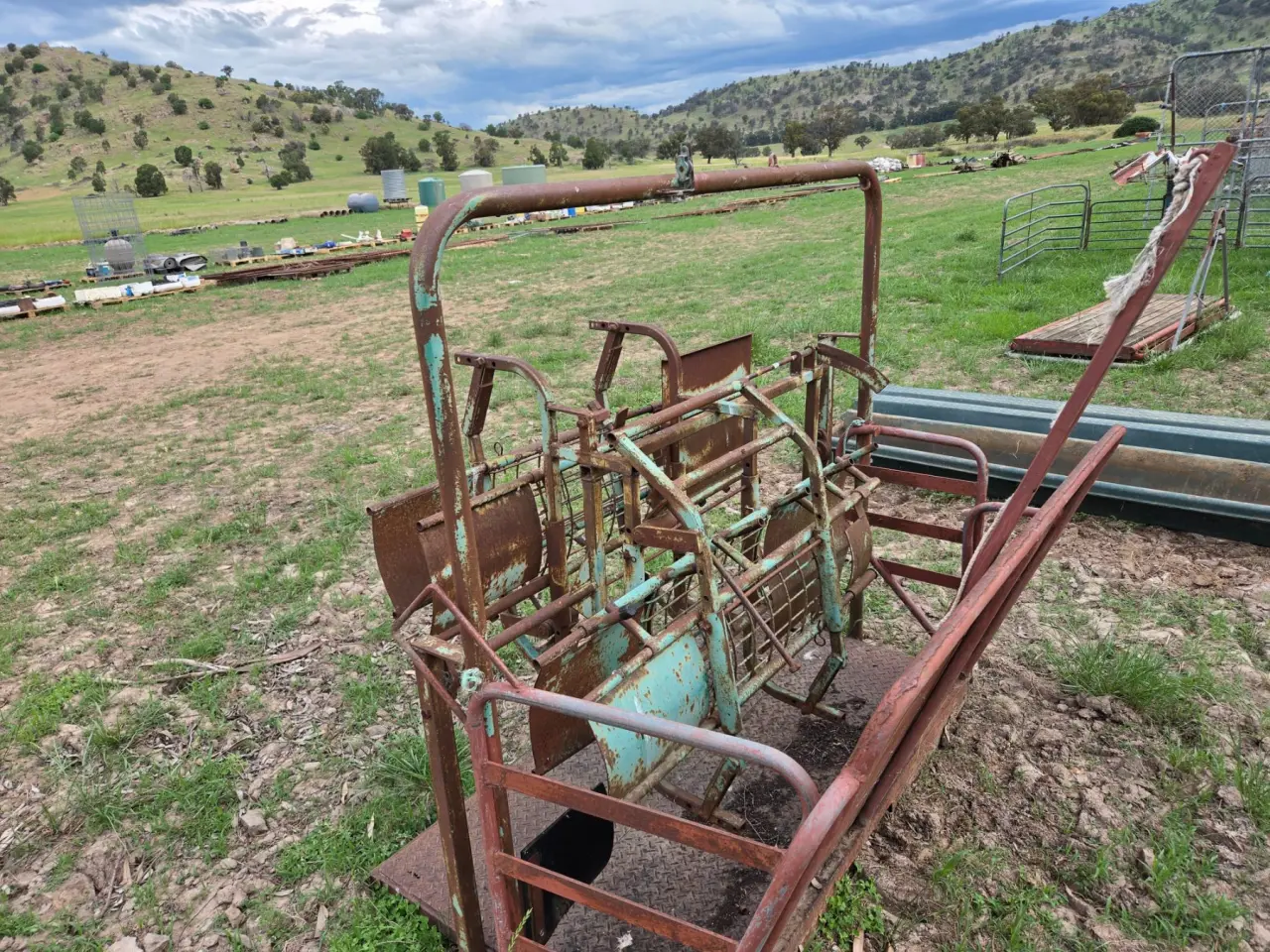 Used - Moffatt Virtue Sheep Handler