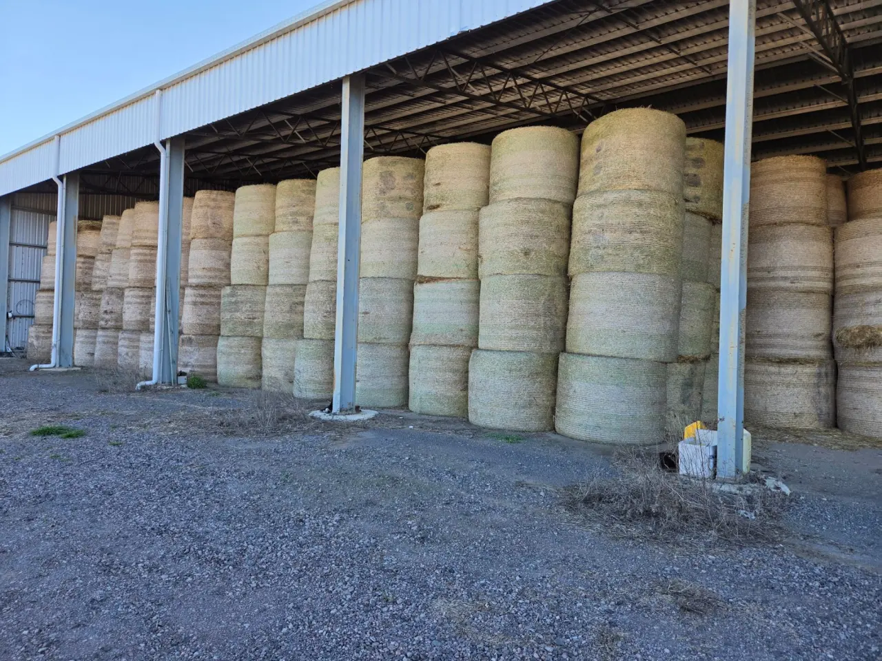5x4 Rolls of Quality Wheaten Hay - photo 1