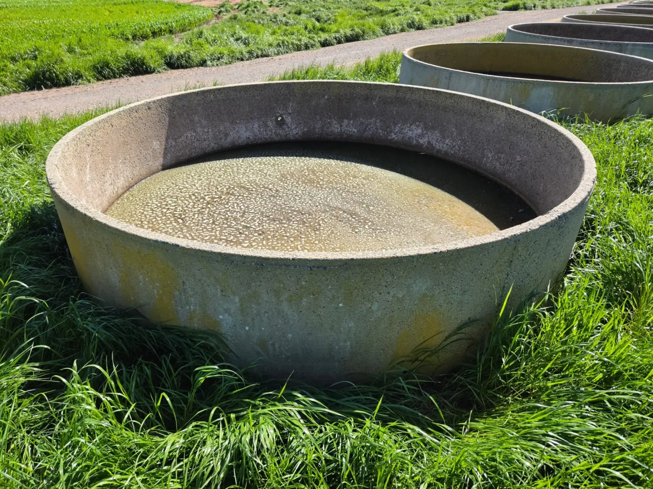 10ft Stock Trough (J) - photo 2