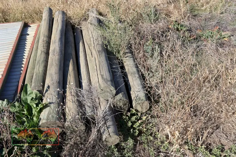 30+ Pine Posts - photo 1