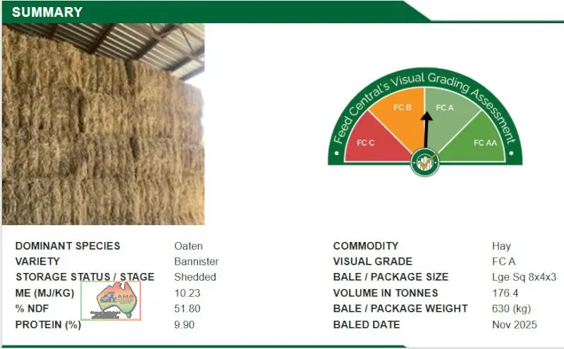 8x4x3 Bales of Oaten/Lucerne Hay ($/bale) - photo 4