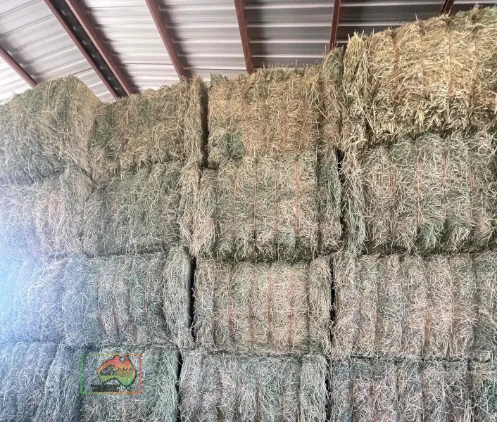 Quality 3rd Cut Irrigated Lucerne ($/bale) - photo 3