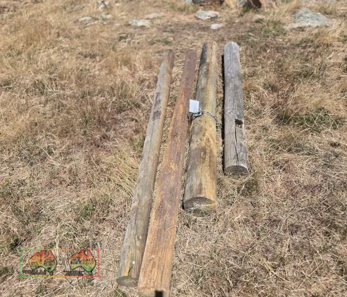 Pine Posts - photo 3