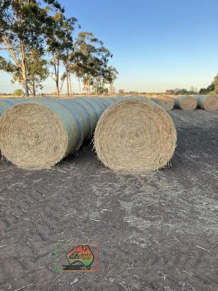Rolls of Pure Oaten Hay ($/Roll) - photo 1