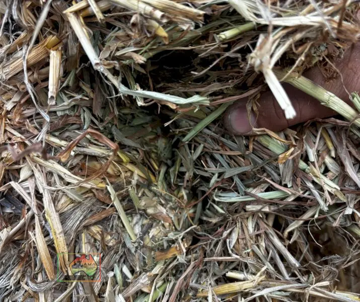 61 Bales of 8x4x3 Oaten Hay ($/Bale) - photo 3