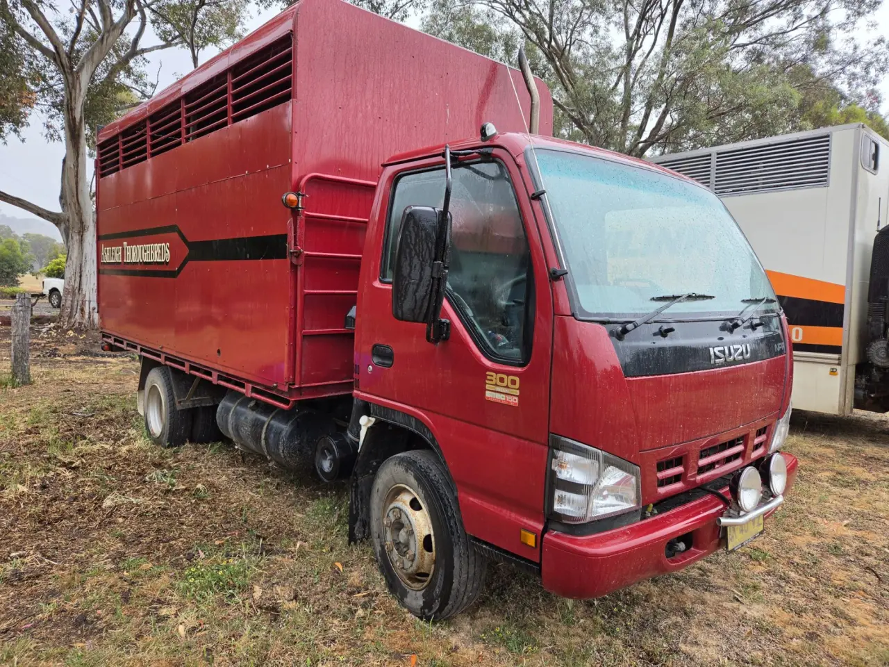 Used - 2005 Isuzu NPR 300 Horse Truck - photo 1