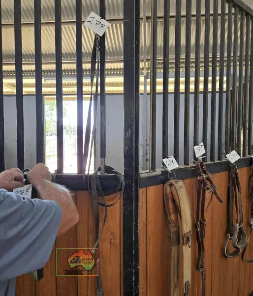 Leather Reins - photo 1