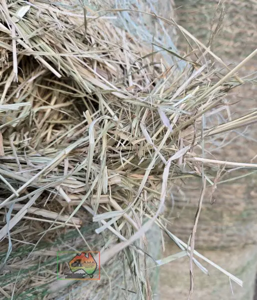 4x4 Rolls of Quality Oaten Hay - photo 5