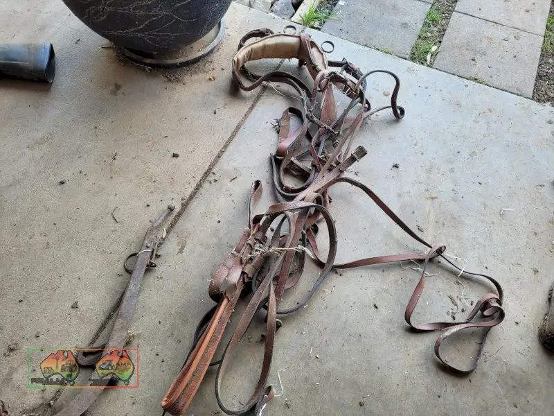 Sulky Harness (No.2) - photo 1