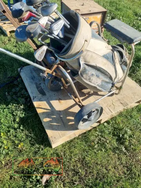 Golf Cart & Clubs - photo 2
